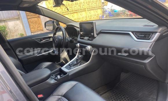 Acheter Import Voiture Toyota RAV4 Gris à Douala, Littoral Cameroon Acheter Import Voiture Toyota RAV4 Gris à Douala, Littoral Cameroon