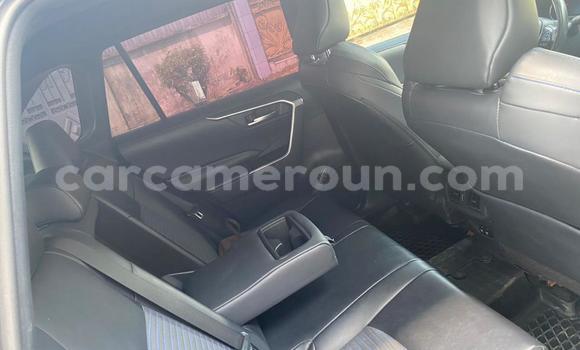 Acheter Import Voiture Toyota RAV4 Gris à Douala, Littoral Cameroon Acheter Import Voiture Toyota RAV4 Gris à Douala, Littoral Cameroon