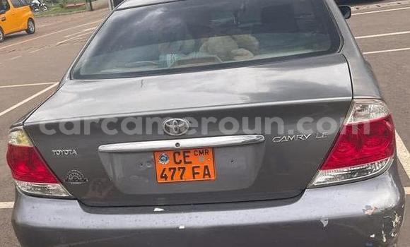 Buy Used Toyota Camry Silver Car in Yaounde in Central Cameroon Buy Used Toyota Camry Silver Car in Yaounde in Central Cameroon