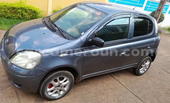 Buy Used Toyota Yaris Silver Car in Yaounde in Central Cameroon Buy Used Toyota Yaris Silver Car in Yaounde in Central Cameroon