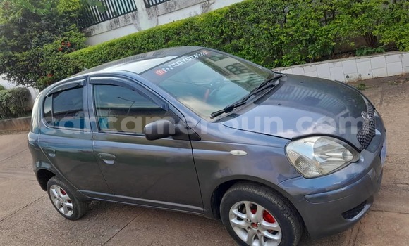 Buy Used Toyota Yaris Silver Car in Yaounde in Central Cameroon Buy Used Toyota Yaris Silver Car in Yaounde in Central Cameroon