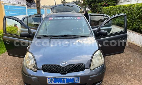 Buy Used Toyota Yaris Silver Car in Yaounde in Central Cameroon Buy Used Toyota Yaris Silver Car in Yaounde in Central Cameroon