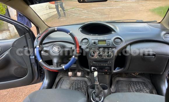 Buy Used Toyota Yaris Silver Car in Yaounde in Central Cameroon Buy Used Toyota Yaris Silver Car in Yaounde in Central Cameroon