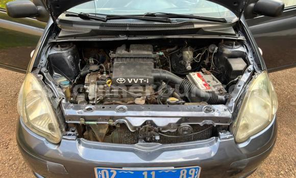 Buy Used Toyota Yaris Silver Car in Yaounde in Central Cameroon Buy Used Toyota Yaris Silver Car in Yaounde in Central Cameroon