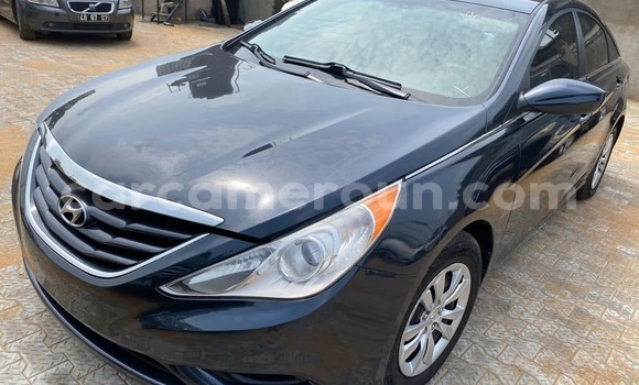 Buy Import Hyundai Sonata Blue Car in Douala in Littoral Cameroon