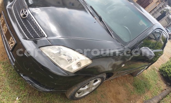 Acheter Occasion Voiture Toyota Corolla Noir à Douala, Littoral Cameroon Acheter Occasion Voiture Toyota Corolla Noir à Douala, Littoral Cameroon