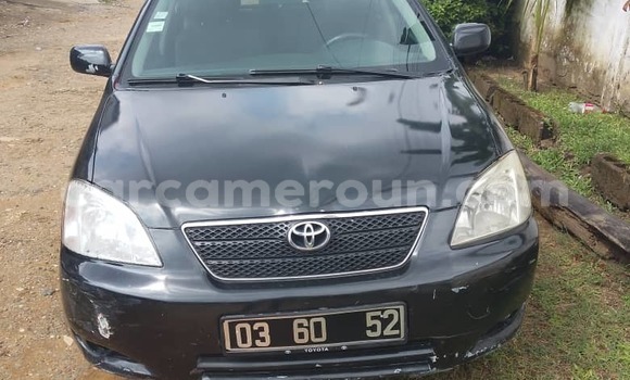 Acheter Occasion Voiture Toyota Corolla Noir à Douala, Littoral Cameroon Acheter Occasion Voiture Toyota Corolla Noir à Douala, Littoral Cameroon
