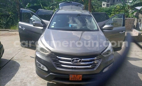Buy Used Hyundai Santa Fe Silver Car in Douala in Littoral Cameroon