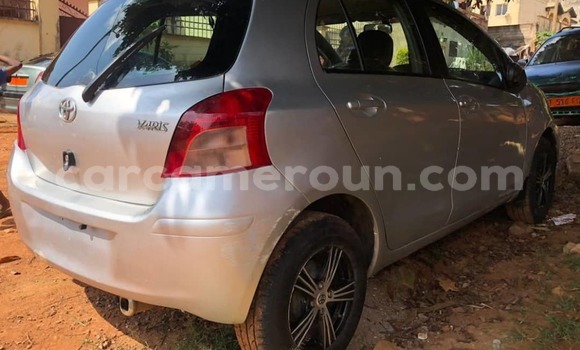 Buy Used Toyota Yaris Silver Car in Yaounde in Central Cameroon Buy Used Toyota Yaris Silver Car in Yaounde in Central Cameroon