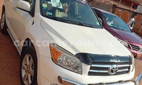 Acheter Occasion Voiture Toyota RAV4 Blanc à Yaoundé, Central Cameroon Acheter Occasion Voiture Toyota RAV4 Blanc à Yaoundé, Central Cameroon