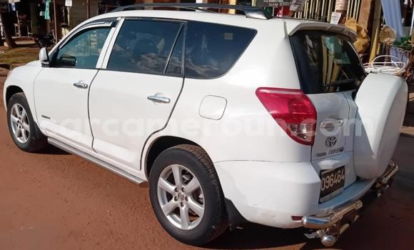 Acheter Occasion Voiture Toyota RAV4 Blanc à Yaoundé, Central Cameroon Acheter Occasion Voiture Toyota RAV4 Blanc à Yaoundé, Central Cameroon