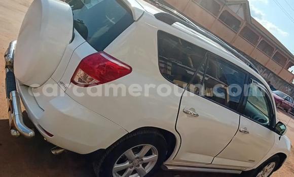 Acheter Occasion Voiture Toyota RAV4 Blanc à Yaoundé, Central Cameroon Acheter Occasion Voiture Toyota RAV4 Blanc à Yaoundé, Central Cameroon