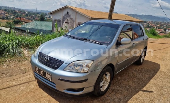 Buy Used Toyota Corolla Blue Car in Yaounde in Central Cameroon