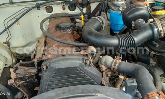 Acheter Occasion Voiture Toyota Hilux Blanc à Douala, Littoral Cameroon