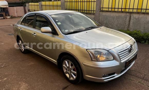 Acheter Occasion Voiture Toyota Avensis Gris à Yaoundé, Central Cameroon