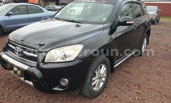 Buy Used Toyota RAV4 Black Car in Douala in Littoral Cameroon