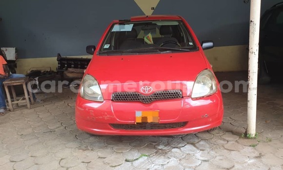 Buy Used Toyota Yaris Red Car in Yaounde in Central Cameroon