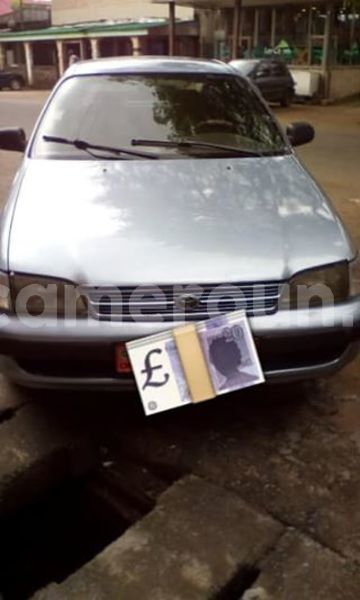 Big with watermark 39921080 250789728909123 975792354625585152 n