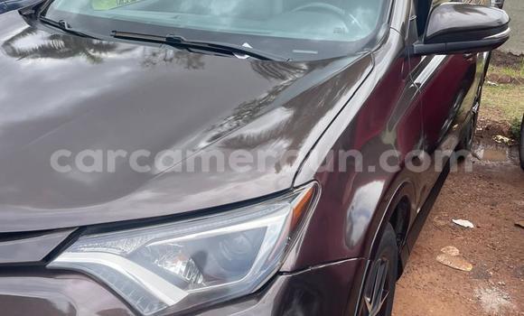 Acheter Occasion Voiture Toyota RAV4 Marron à Yaoundé, Central Cameroon Acheter Occasion Voiture Toyota RAV4 Marron à Yaoundé, Central Cameroon