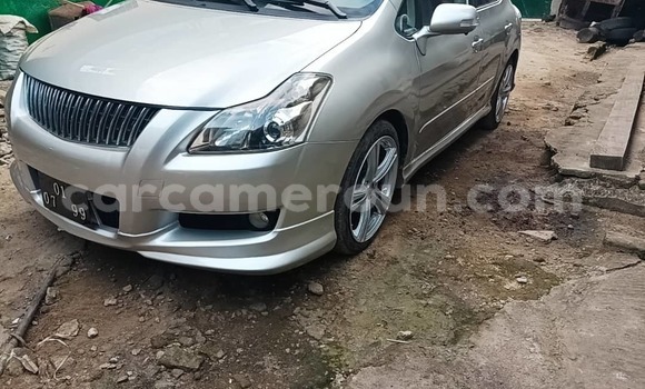 Acheter Occasion Voiture Toyota Blade Gris à Douala, Littoral Cameroon