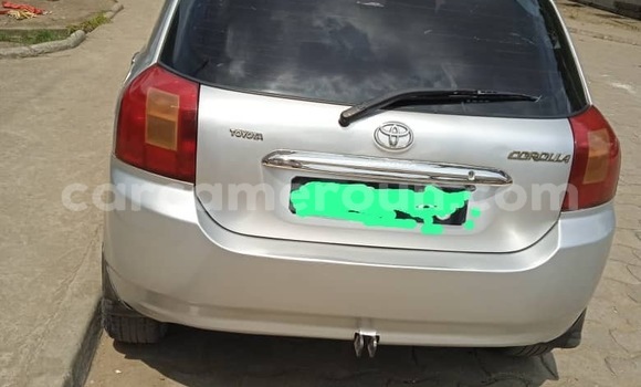 Buy New Toyota Corolla Silver Car in Douala in Littoral Cameroon