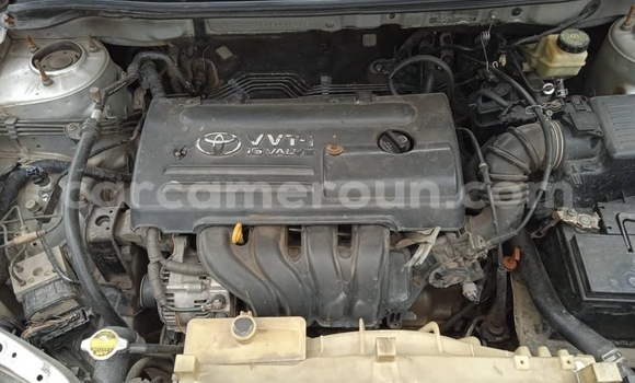 Buy New Toyota Corolla Silver Car in Douala in Littoral Cameroon Buy New Toyota Corolla Silver Car in Douala in Littoral Cameroon