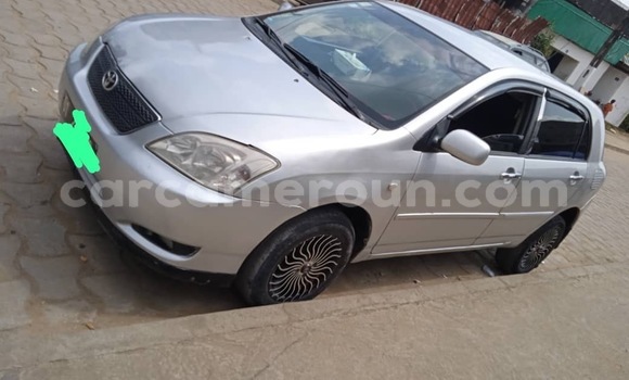 Buy New Toyota Corolla Silver Car in Douala in Littoral Cameroon Buy New Toyota Corolla Silver Car in Douala in Littoral Cameroon