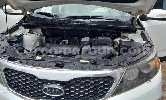 Sayi Na hannu Kia Sorento White Mota in Yaounde a Babban Kamaru Sayi Na hannu Kia Sorento White Mota in Yaounde a Babban Kamaru