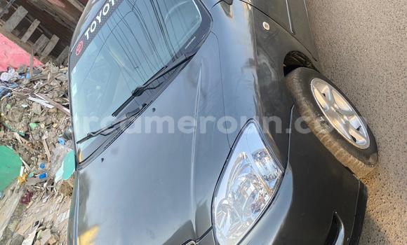 Acheter Occasion Voiture Toyota Corolla Gris à Douala, Littoral Cameroon Acheter Occasion Voiture Toyota Corolla Gris à Douala, Littoral Cameroon