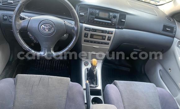 Acheter Occasion Voiture Toyota Corolla Gris à Douala, Littoral Cameroon Acheter Occasion Voiture Toyota Corolla Gris à Douala, Littoral Cameroon