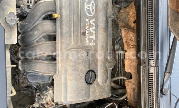 Acheter Occasion Voiture Toyota Corolla Gris à Douala, Littoral Cameroon Acheter Occasion Voiture Toyota Corolla Gris à Douala, Littoral Cameroon