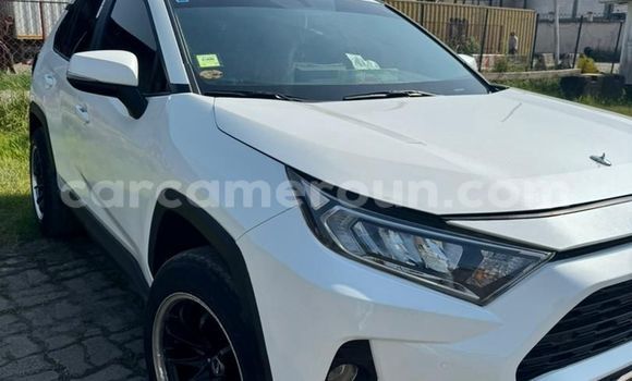 Acheter Import Voiture Toyota RAV4 Blanc à Douala, Littoral Cameroon