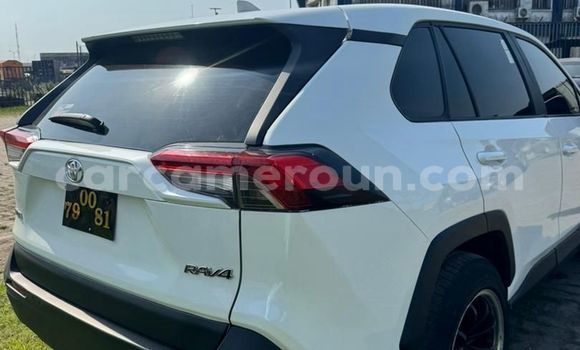 Acheter Import Voiture Toyota RAV4 Blanc à Douala, Littoral Cameroon Acheter Import Voiture Toyota RAV4 Blanc à Douala, Littoral Cameroon