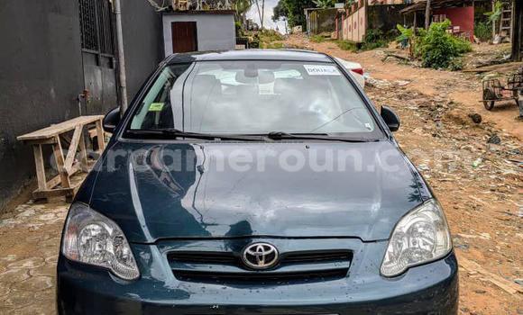 Acheter Occasion Voiture Toyota Corolla Vert à Douala, Littoral Cameroon