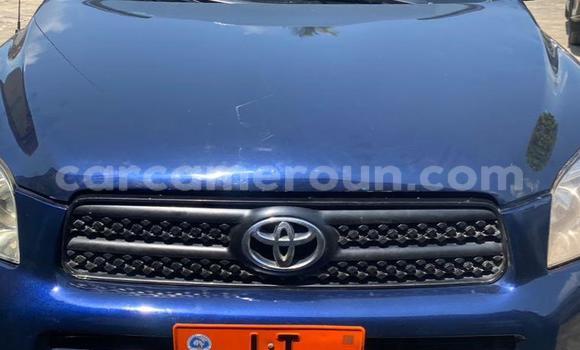Sayi Na hannu Toyota RAV4 Blue Mota in Douala a Ƙasar Kamaru Sayi Na hannu Toyota RAV4 Blue Mota in Douala a Ƙasar Kamaru