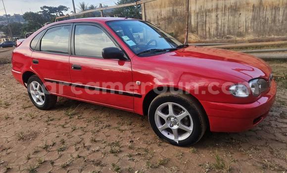 Buy Used Toyota Corolla Red Car in Yaounde in Central Cameroon