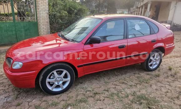 Acheter Occasion Voiture Toyota Corolla Rouge à Yaoundé, Central Cameroon Acheter Occasion Voiture Toyota Corolla Rouge à Yaoundé, Central Cameroon