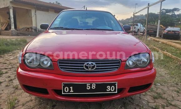 Acheter Occasion Voiture Toyota Corolla Rouge à Yaoundé, Central Cameroon Acheter Occasion Voiture Toyota Corolla Rouge à Yaoundé, Central Cameroon