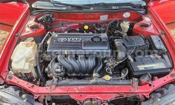 Acheter Occasion Voiture Toyota Corolla Rouge à Yaoundé, Central Cameroon Acheter Occasion Voiture Toyota Corolla Rouge à Yaoundé, Central Cameroon