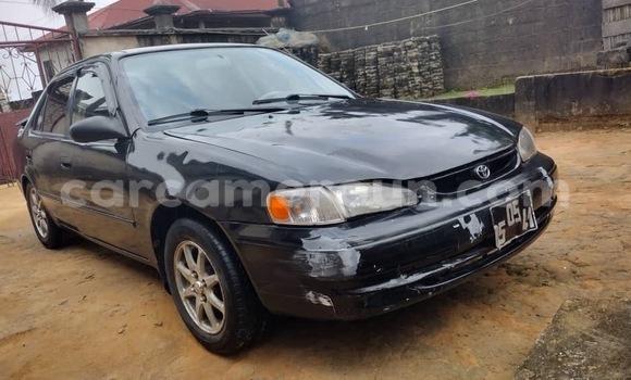 Acheter Occasion Voiture Toyota Corolla Noir à Douala, Littoral Cameroon Acheter Occasion Voiture Toyota Corolla Noir à Douala, Littoral Cameroon