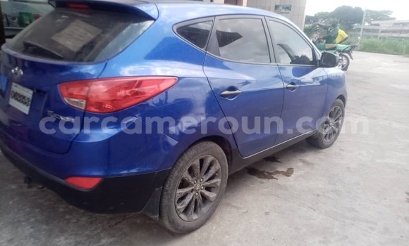 Buy Used Hyundai Tucson Other Car in Douala in Littoral Cameroon Buy Used Hyundai Tucson Other Car in Douala in Littoral Cameroon