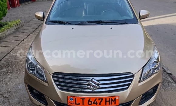 Buy Used Suzuki Ciaz Beige Car in Douala in Littoral Cameroon