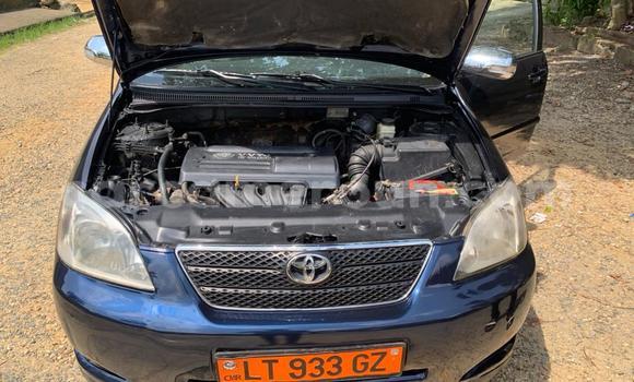 Buy Used Toyota Corolla Blue Car in Douala in Littoral Cameroon Buy Used Toyota Corolla Blue Car in Douala in Littoral Cameroon