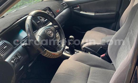 Buy Used Toyota Corolla Blue Car in Douala in Littoral Cameroon Buy Used Toyota Corolla Blue Car in Douala in Littoral Cameroon