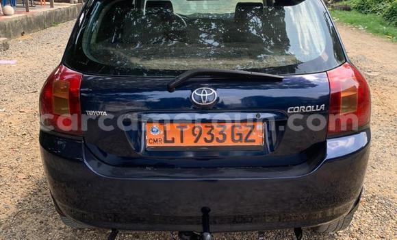 Buy Used Toyota Corolla Blue Car in Douala in Littoral Cameroon Buy Used Toyota Corolla Blue Car in Douala in Littoral Cameroon