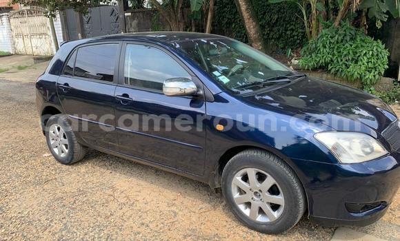 Buy Used Toyota Corolla Blue Car in Douala in Littoral Cameroon Buy Used Toyota Corolla Blue Car in Douala in Littoral Cameroon