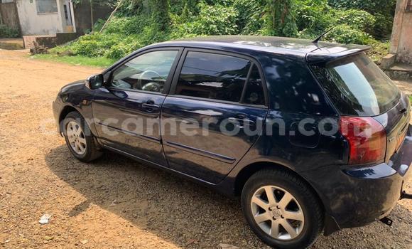 Buy Used Toyota Corolla Blue Car in Douala in Littoral Cameroon Buy Used Toyota Corolla Blue Car in Douala in Littoral Cameroon