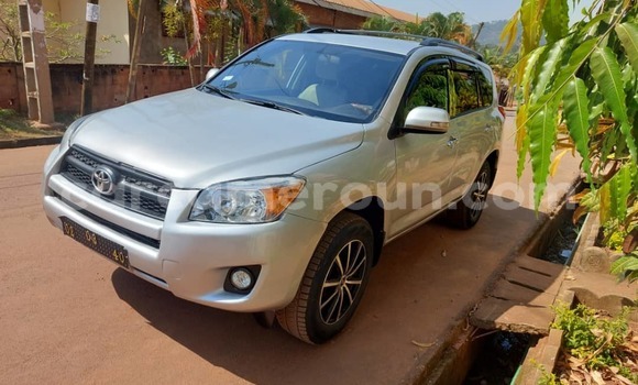 Buy Used Toyota RAV4 Silver Car in Yaounde in Central Cameroon Buy Used Toyota RAV4 Silver Car in Yaounde in Central Cameroon