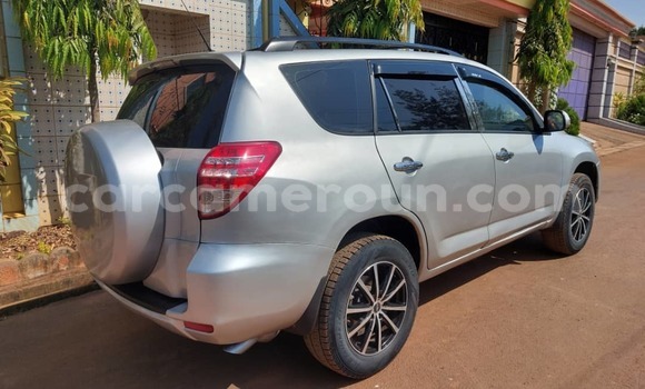 Buy Used Toyota RAV4 Silver Car in Yaounde in Central Cameroon Buy Used Toyota RAV4 Silver Car in Yaounde in Central Cameroon