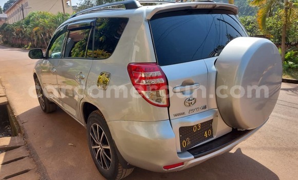 Buy Used Toyota RAV4 Silver Car in Yaounde in Central Cameroon Buy Used Toyota RAV4 Silver Car in Yaounde in Central Cameroon